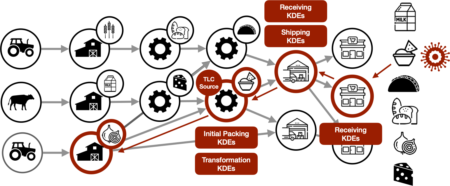 Red Onions, Soft Cheese and Data: From Food Safety to Data Traceability for Responsible AI.